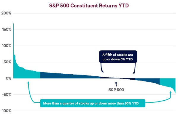 Chart titled "S&P 500 Constituent Returns YTD" showing year to date returns for all S&P 500 companies arranged from highest to lowest. Stocks that up or down more than 20% are shaded in teal while